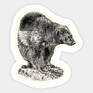 Wolverine Sticker